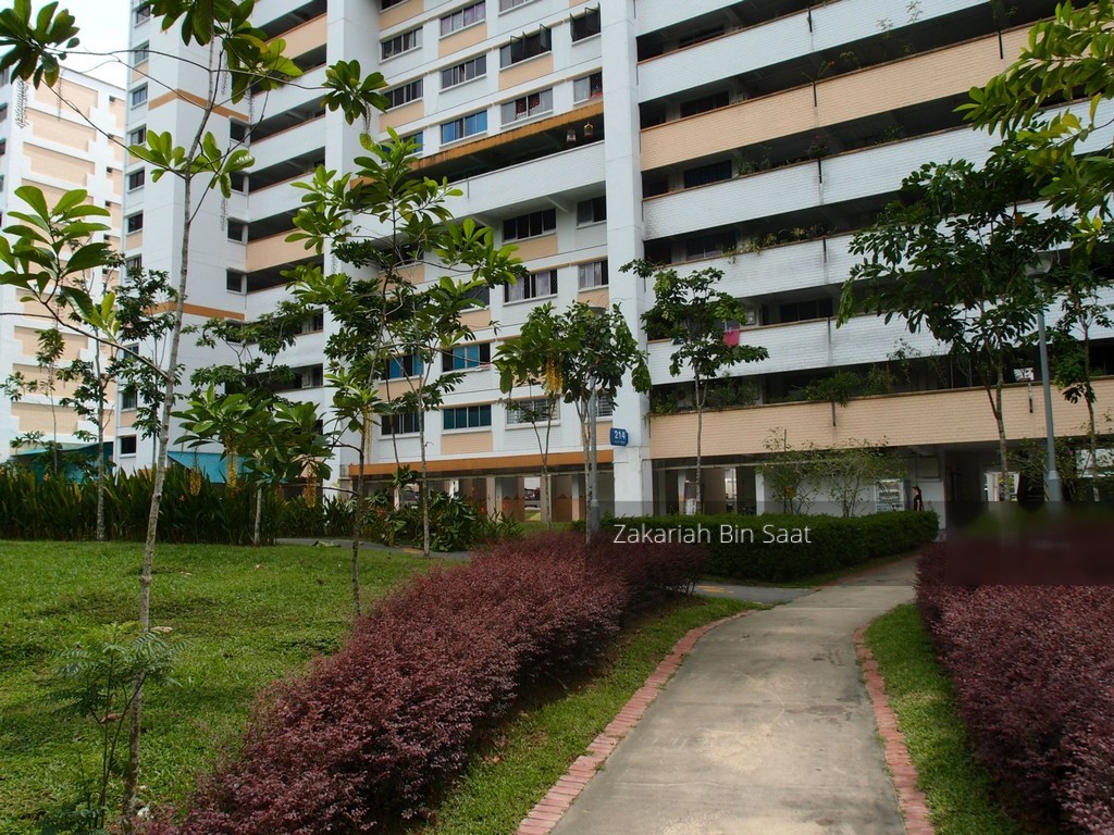 Blk 214 Petir Road (Bukit Panjang), HDB 3 Rooms #137163302
